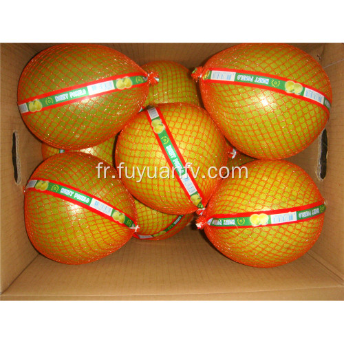 Pomelo au miel 2019